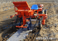 <b>行业查询拜访：2023年全球蔬菜移栽机市场规模为</b>